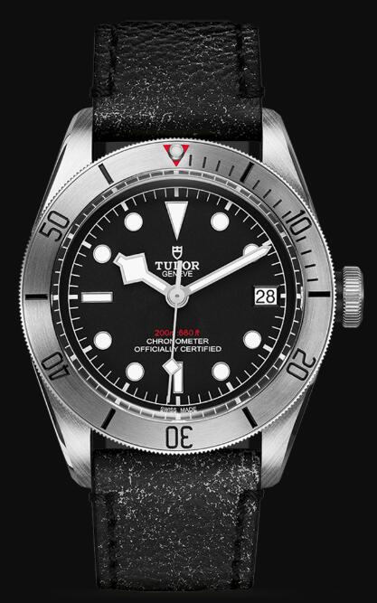 Tudor BLACK BAY STEEL M79730-0005 Replica Watch